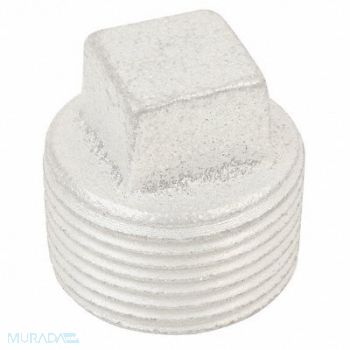 APPLETON ELECTRIC Conduit Plug SS, 10C678