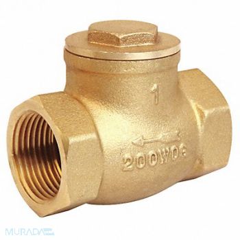 GRAINGER APPROVED Swing Check Valve Brass 2 FNPT, 10F327