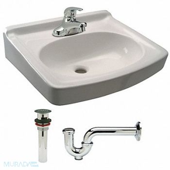 ZURN Lav Sink D-Shape 15-1/4inx10-3/4inx7in, 46CD69