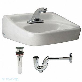 ZURN Lav Sink D-Shape 15-1/4inx10-3/4inx7in, 46CD70