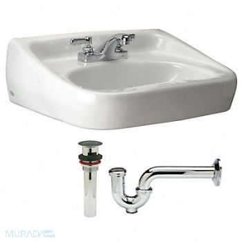 ZURN Sink DShape 16-1/2inx10-1/4inx6-3/8in, 46CD65