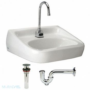 ZURN Sink DShape 16-1/2inx10-1/4inx5-3/4in, 46CD72