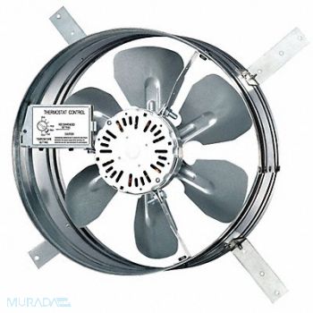 DAYTON Steel 8 H 15 W Exhst Fan, 10W198