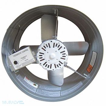 DAYTON Steel 8 H 15 W Exhst Fan, 10W194