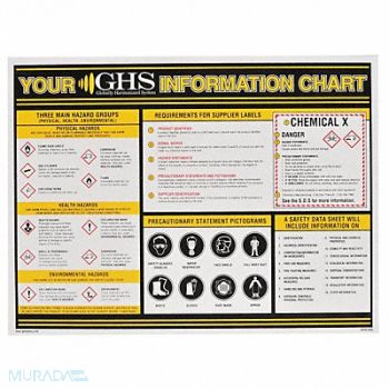 GHS SAFETY Wall Chart Chemical/HAZMAT Training, 10X328