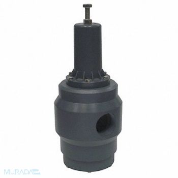 PLAST-O-MATIC Pressure Regulator 1-1/2 In 5 to 125 psi, 11G082