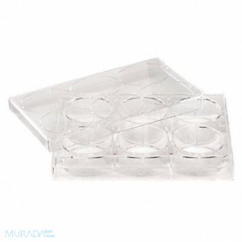 CELLTREAT Non-Treated Plate 12 Well PK100, 38C821