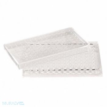 CELLTREAT Well Tissue Culture Plate 0.39cm2 PK100, 38C819