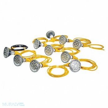 LARSON ELECTRONICS LLC LED Light 100 ft par38 LED 250W 277VAC, 126J67