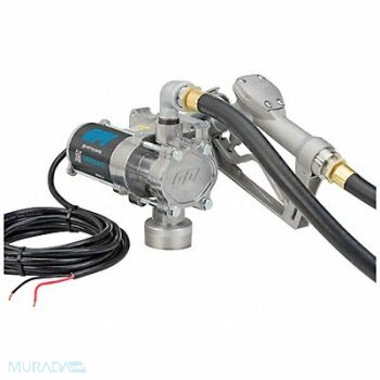 GPI Fuel Transfer Pump HP 1/10 12VDC, 56FK26