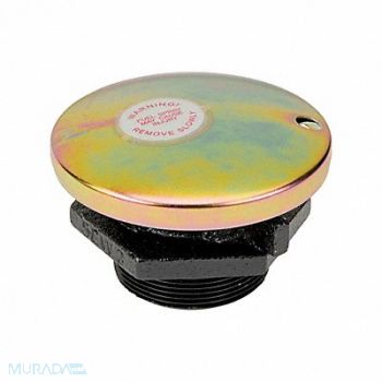GPI Vent Cap 2 In NPT Outlet, 13K558