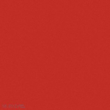 WEATHER GUARD Tote Tray 19-1/4 in L Steel Red, 14V925