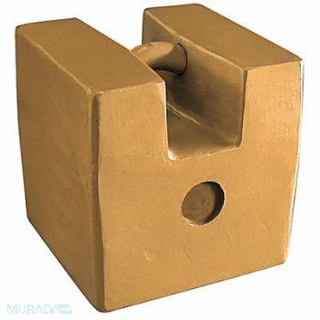 RICE LAKE WEIGHING SYSTEMS Weight Grip Hndle 100kg Cast Iron ClassF, 15F120