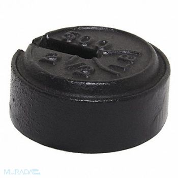 RICE LAKE WEIGHING SYSTEMS Weight Slotted 2.5 lb Cast Iron Class 7, 15F145