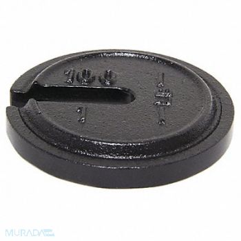 RICE LAKE WEIGHING SYSTEMS Weight Slotted 100x1lb Cast Iron Class7, 15F149