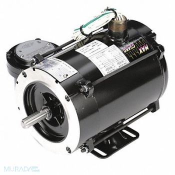 MARATHON MOTORS Motor 1/3 HP 1725 rpm 56C 230/460V, 15G105