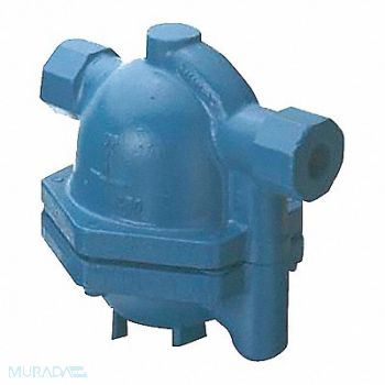 NICHOLSON Steam Trap 100 psi 450F 4-1/4 in L, 15X152