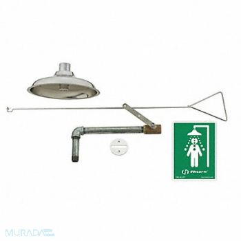 HAWS Emergency Shower Flush Ceiling 20 gpm, 16D381