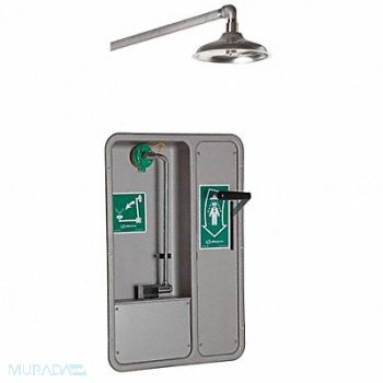 HAWS Shower/Eye Face Wash Lab Combination, 16D408