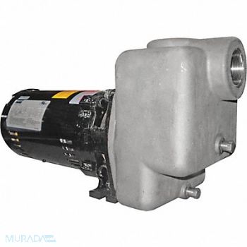 DAYTON Self Priming Pump 3/4 HP 316 SS, 5GUP1