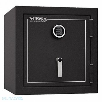 MESA SAFE COMPANY Burglar and Fire Safe 3.3 cu ft, 16X164