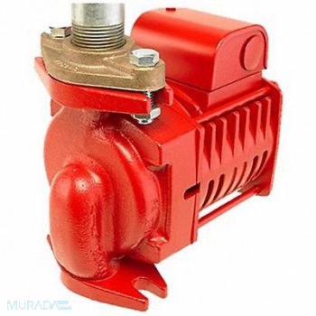 ARMSTRONG PUMPS INC. Potable Circulating Pump Flanged 1/6HP, 788V87