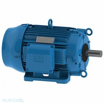 WEG CT Motor 30 HP 1765 RPM 230/460V, 19C691