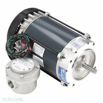 MARATHON MOTORS Motor 1/2 HP 1725 rpm 56C 208-230/460V, 19RW14