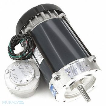 MARATHON MOTORS Motor 3/4 HP 1725 rpm 56C 208-230/460V, 19RW15