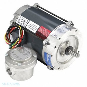 MARATHON MOTORS Motor 1/4 HP 1725 rpm 56C 115/208-230V, 19RW22