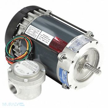 MARATHON MOTORS Motor 1/3 HP 1725 rpm 56C 115/208-230V, 19RW23