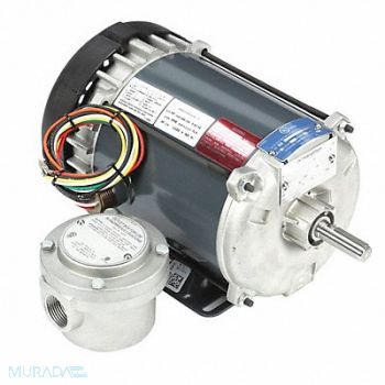 MARATHON MOTORS Motor 1/3 HP 1725 rpm 56 115/208-230V, 19RW60