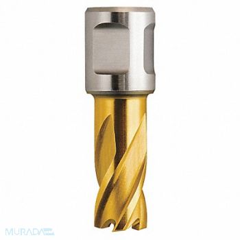 SLUGGER BY FEIN Annular Cutter 11/16in HSS, 19TF91