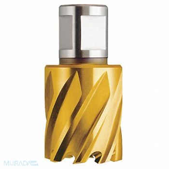 SLUGGER BY FEIN Annular Cutter 1.25in HSS, 19TG04