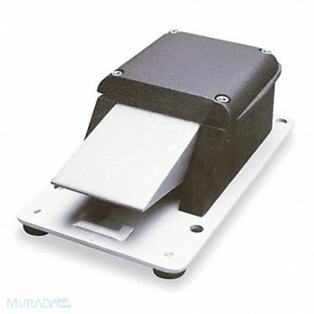 LINEMASTER Gnrl Prps Foot Swtch Momentary Action, 1AGR2