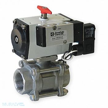 DYNAQUIP CONTROLS Ball Valve 3 In NPT Spring Return SS, 1AWR9