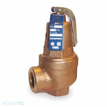 APOLLO Safety Relief Valve 2 In 100 psi Bronze, 1CKX4
