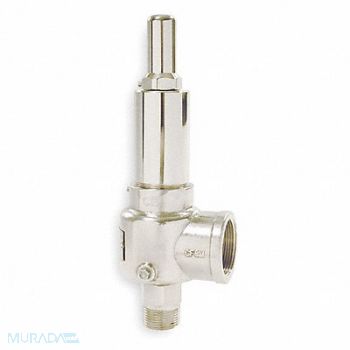 APOLLO D4509 POP Safety Valve 1 x 1-1/2 In 300 psi, 1CNK8