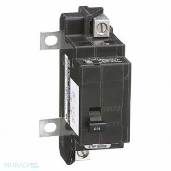 SQUARE D Circuit Breaker 100A Bolt On 120/240V 2P, 1D332