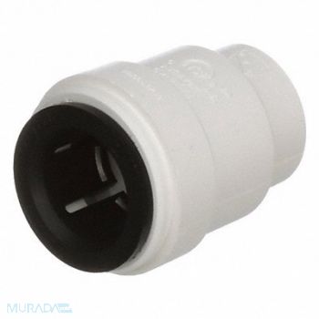 WATTS 098268299991, 1DAR2