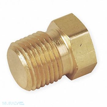 PARKER Hex Head Plug Bright Brass 3/4 in, 20YZ77
