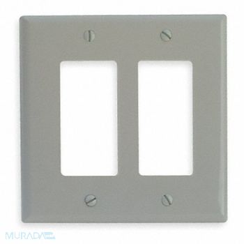 EDWARDS SIGNALING Double Gang Faceplate H 5 x W 5 In, 1EXY8