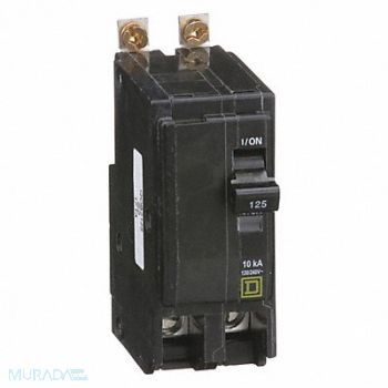 SQUARE D Circuit Breaker 125A Bolt On 120/240V 2P, 1H882
