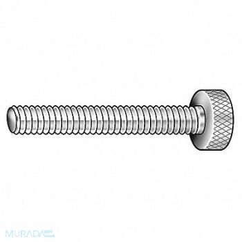 GRAINGER APPROVED Thumb Screw 3/8 -16 Full Thread SS 3 L, 5PY39