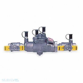 WATTS Reduced Pressure Zone Backflow Preventer, 1KYE6