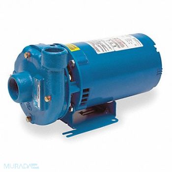 GOULDS WATER TECHNOLOGY Pump 1/3 HP 1 Ph 120/240VAC, 1N524