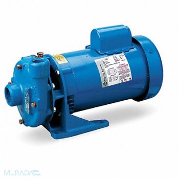 GOULDS WATER TECHNOLOGY Pump 2 HP 1 Ph 120/240VAC, 1N526