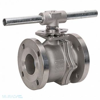 GRAINGER APPROVED SS Ball Valve Flanged 3 in, 1PPT8