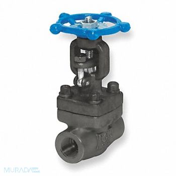 GRAINGER APPROVED Gate Valve Class 800 2 In., 1PRH4