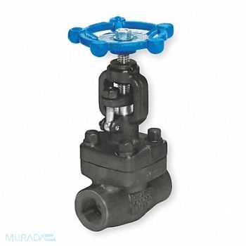 GRAINGER APPROVED Globe Valve 3/8 Steel FNPT 1975 psi, 1PRK8